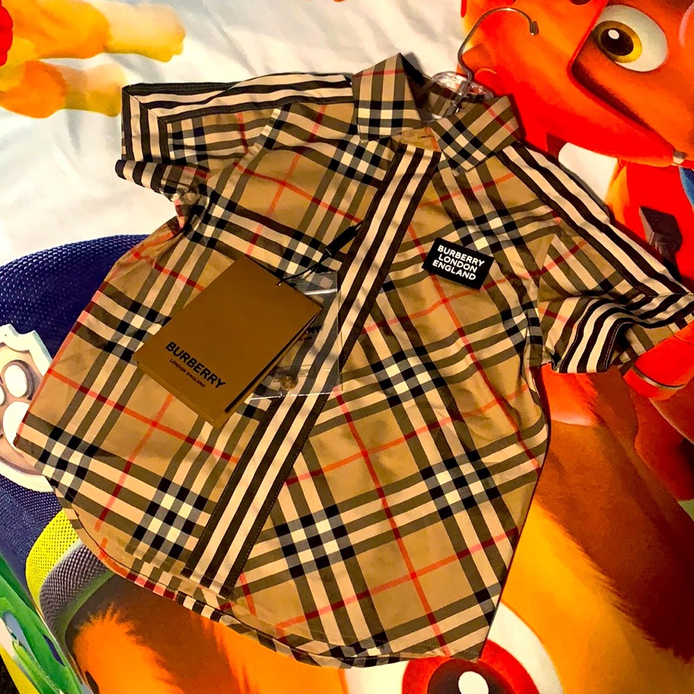 Burberry button down shirt